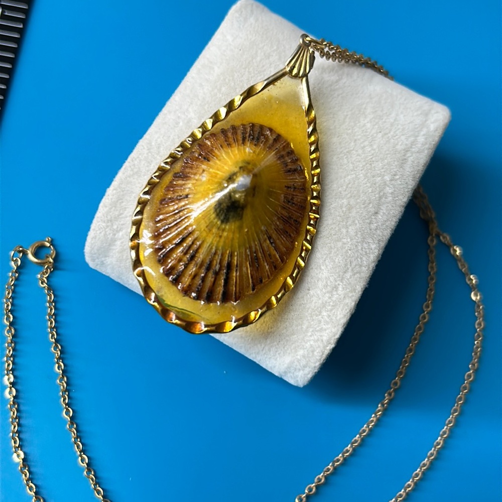 🖤Vtg Hawaiian Opihi shell pendant necklace - Picture 1 of 13